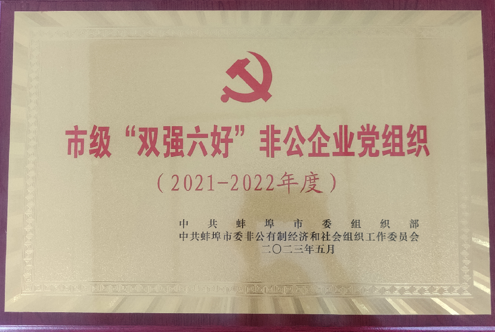 喜報(bào)！中共安徽盛世新能源材料科技有限公司支部委員會榮獲蚌埠市“雙強(qiáng)六好”非公企業(yè)黨組織榮譽(yù)稱號